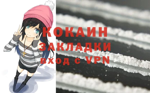 индика Алзамай