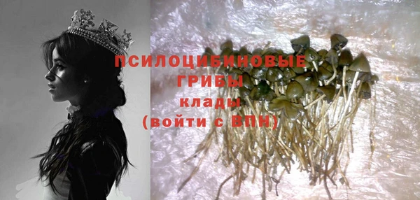 индика Алзамай